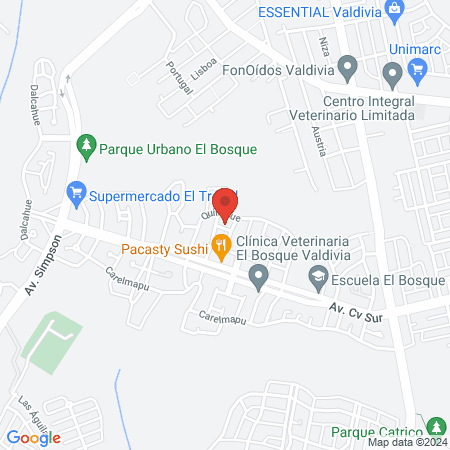 Yoga Kundalini Valdivia map