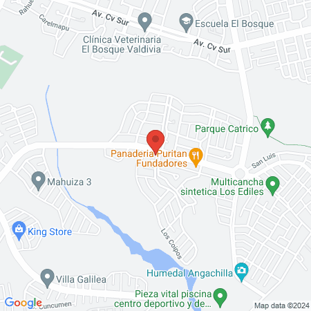 Clínica Veterinaria Los Fundadores map