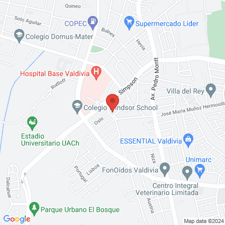 Clínica Veterinaria Regional map