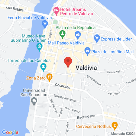 Clínica Veterinaria Valdivia map