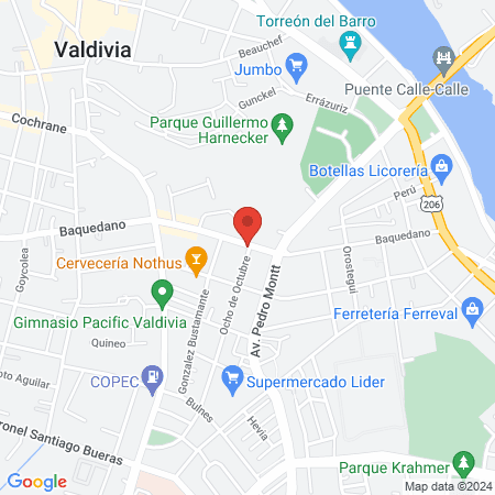 Clinica Veterinaria Baquedano map