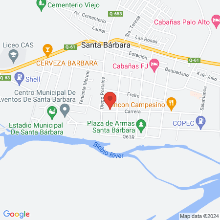 Clínica Veterinaria Los Leones map