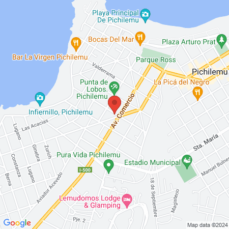 Veterinaria Punto Pets map