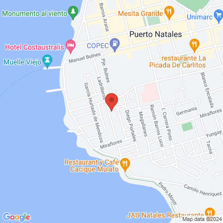 UVET CLINICA Y URGENCIA VETERINARIA NATALES map