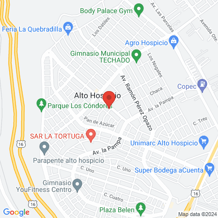 Clinica Veterinaria Revolution Pet 2 map