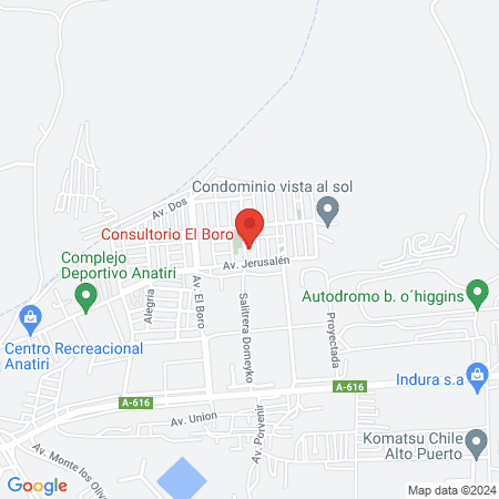 Consultorio el Boro map