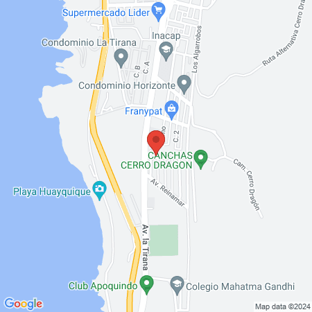 Hospital Clinico Veterinario Reinamar map