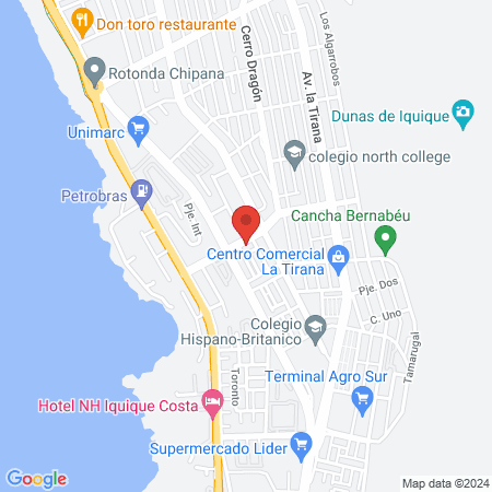 Bigotitos Clínica Veterinaria map