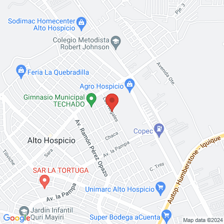 Clinica Veterinaria Revolution Pet map