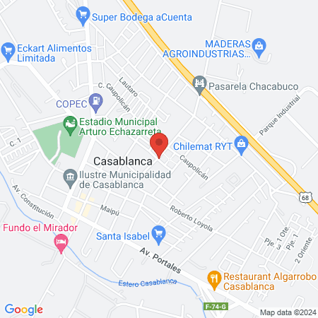 Vitalite Kinesiologia y Entrenamiento map