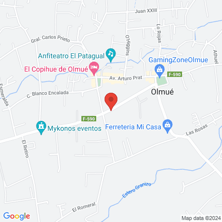 Hospital Clínico Veterinario VETLEÓN map
