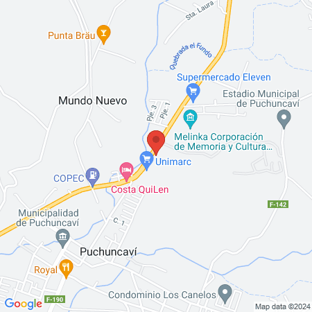 Clínica Veterinaria El Boldo map