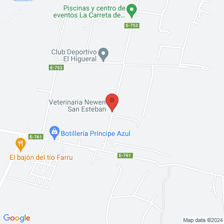 Veterinaria Newen San Esteban map