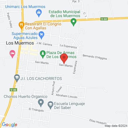 Clinica Veterinaria Los ulmos map