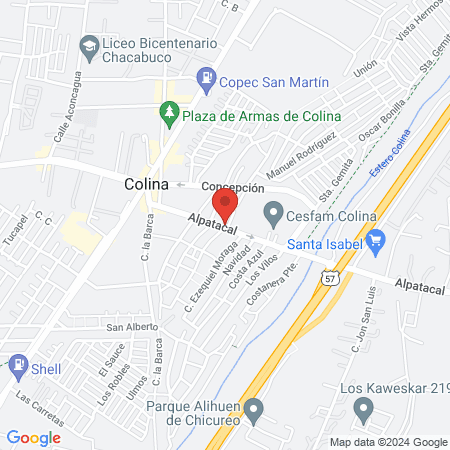 Clínica Veterinaria Petshome, Colina map