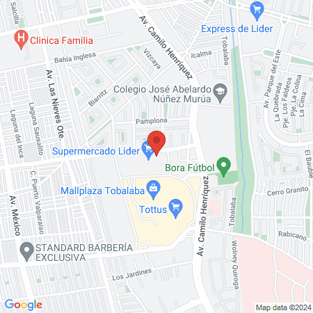 Sanasalud Puente Alto map