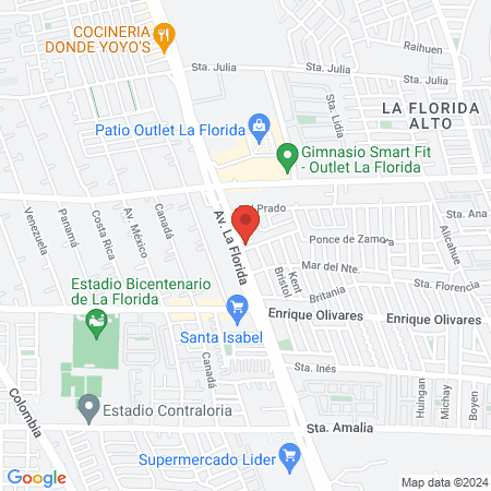 VCM Veterinarias La Florida map