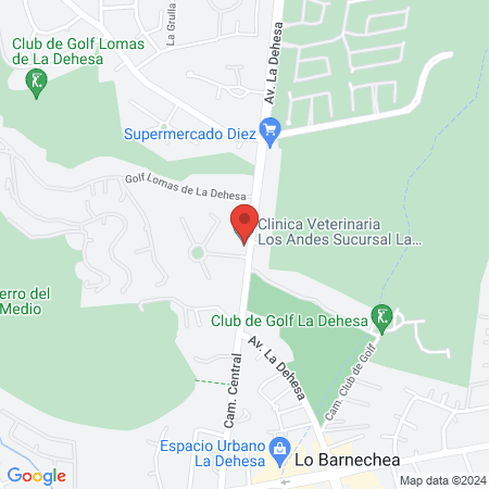 Clinica Veterinaria Los Andes Sucursal La Dehesa map