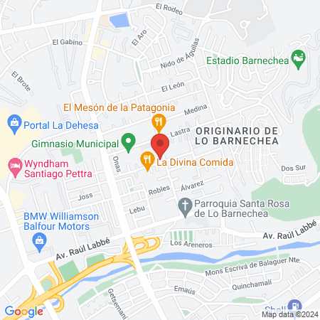 CLÍNICA VETERINARIA LO BARNECHEA map