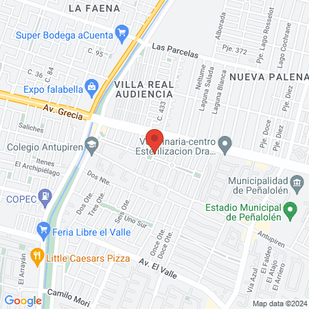 Veterinaria Dr. Leon map