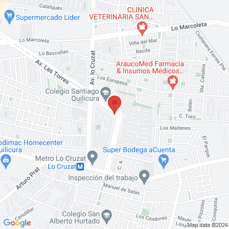 Clínica Veterinaria Vethealth map