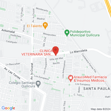 CLINICA VETERINARIA SAN SEBASTIAN map