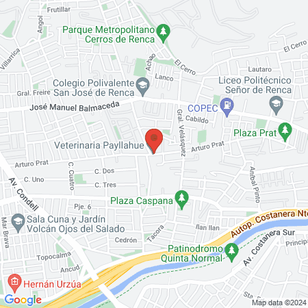 Veterinaria Payllahue map