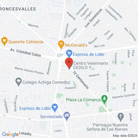 Centro Veterinario CEDILO Y Endocrinologia veterinaria map