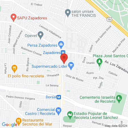 CENTRO MEDICO Y DENTAL AREAMED. map