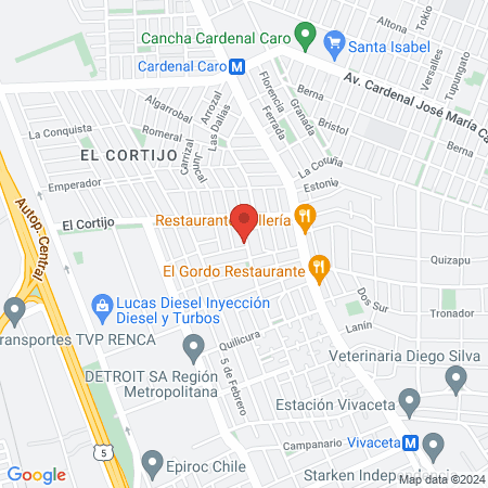 Consultorio Veterinario DAM map