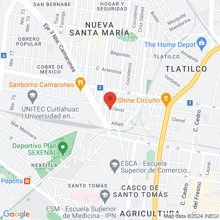 Estetica FLECKOS map