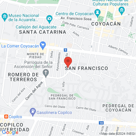 Momentum Espacio de Creación y Movimiento map