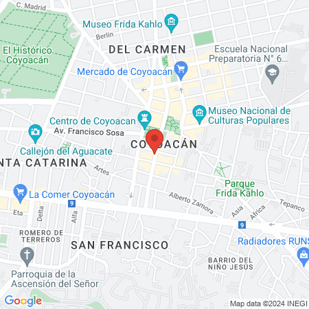 Biomagnetismo médico map