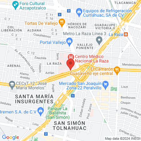 UMAE Hospital General "Dr Gaudencio González Garza" map