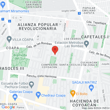 Centro Veterinario El Druida map