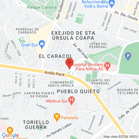 Cirujano Plástico México | Dra Nallely Xellic Albores map