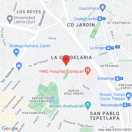 Professional Vets map