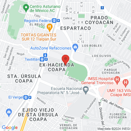 UVM Hospital Veterinario - Universidad del Valle de México map