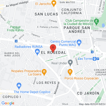 Consejo Mexicano de Endocrinología map