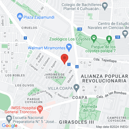 Dra. Yasmín Miranda Aguilar map