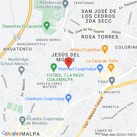 Unidad De Medicina Familiar 42 IMSS UMAA map