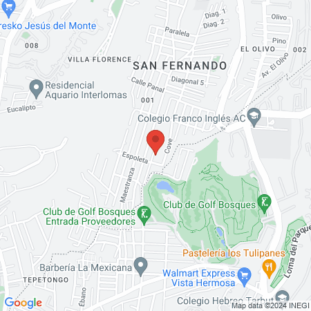 Fisio San Fernando map