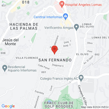 Concepto Integral Canino map