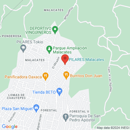 La jungla BarberShop map