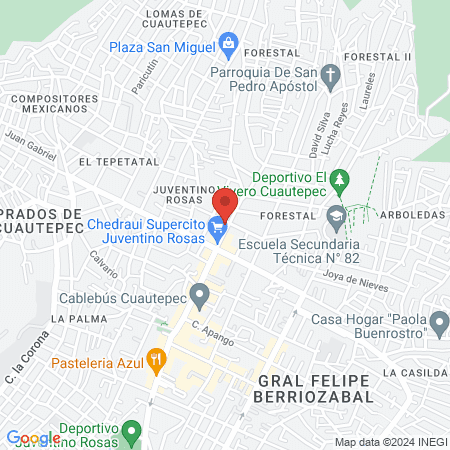 Quiropráctico El Directo map