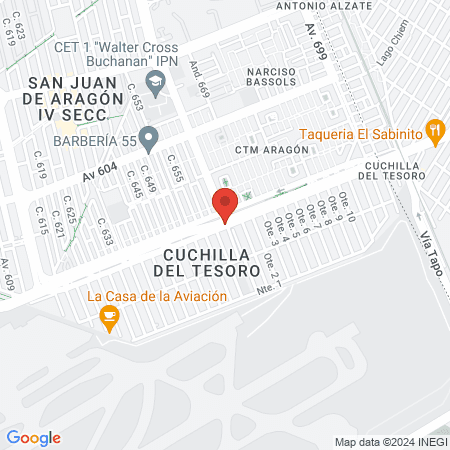 Estética Muzzel, Técnica en Microblading,Técnica en Micropigmentación de ceja ombrė o rellena, baby lips, Eyer liner map