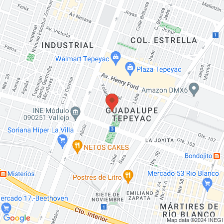 CLINICA VETERINARIA DEL PARQUE map