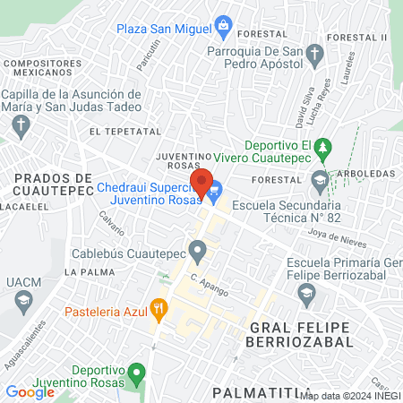 Estudio IMAGEN LOREAL Professionnel map