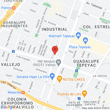 Clinica Veterinaria Especializada Mvz Jose Jimenez Najera map