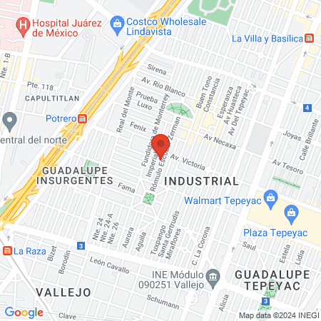 Dra. Mayte Cruz Castillejos map